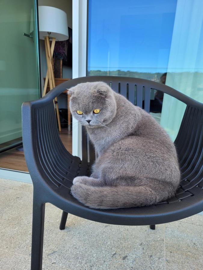 Hotel Cotto Do Gatto Понти-да-Барка Экстерьер фото
