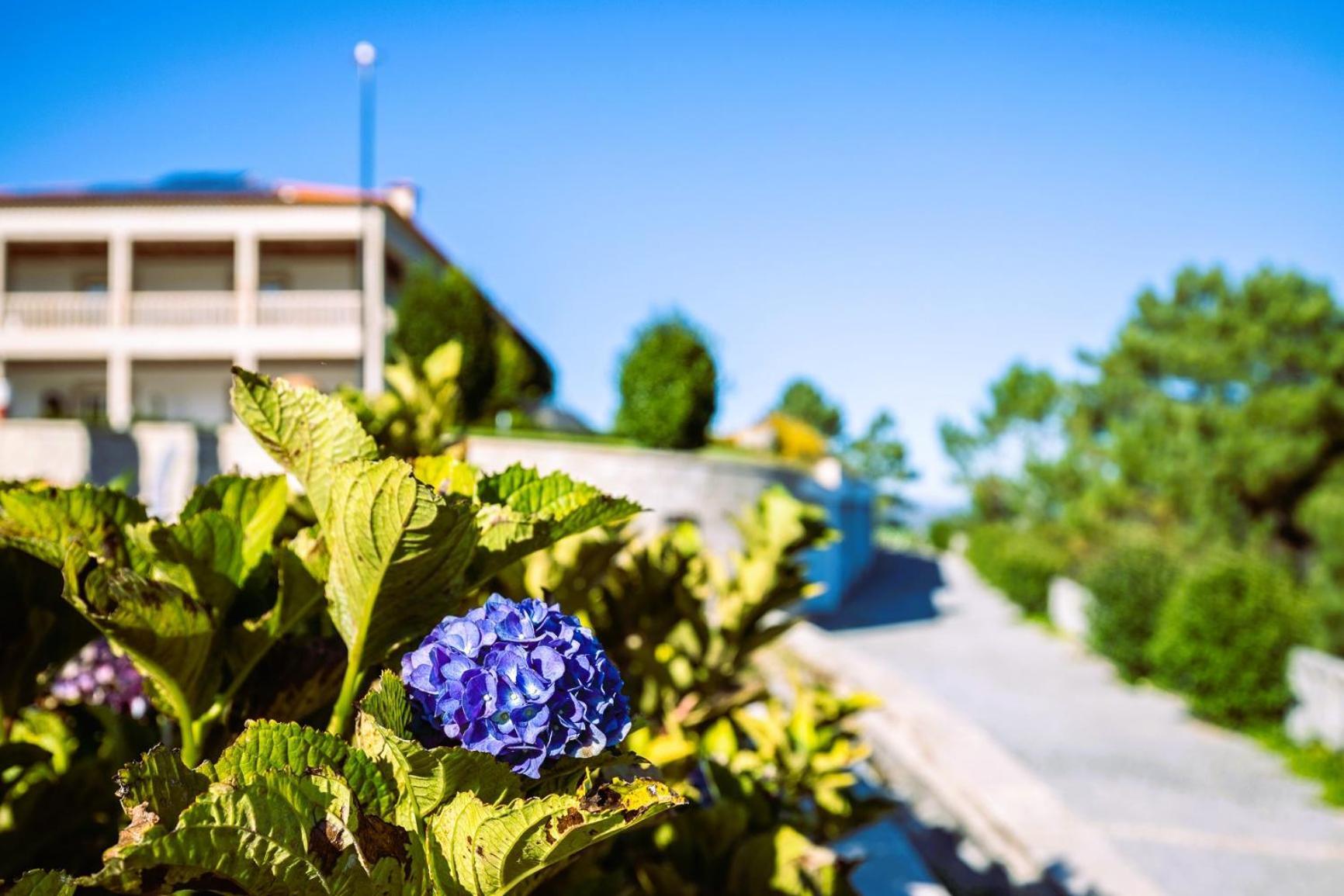 Hotel Cotto Do Gatto Понти-да-Барка Экстерьер фото